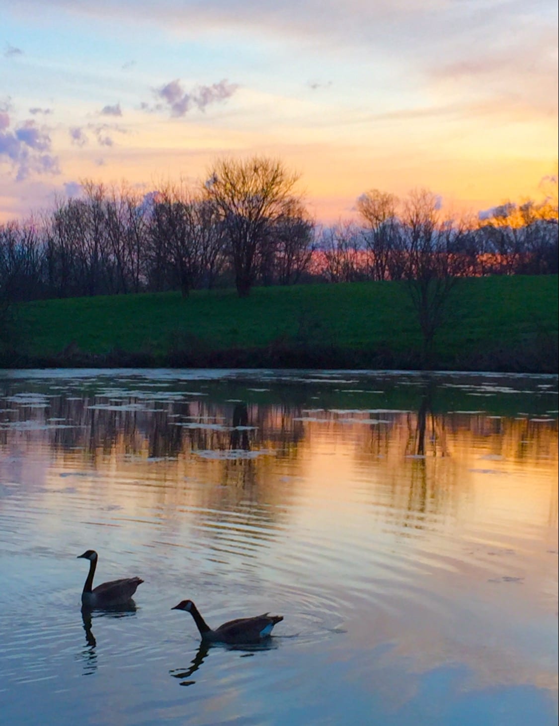 Aboutus Doodles 2 Love Aboutus Doodles 2 Love