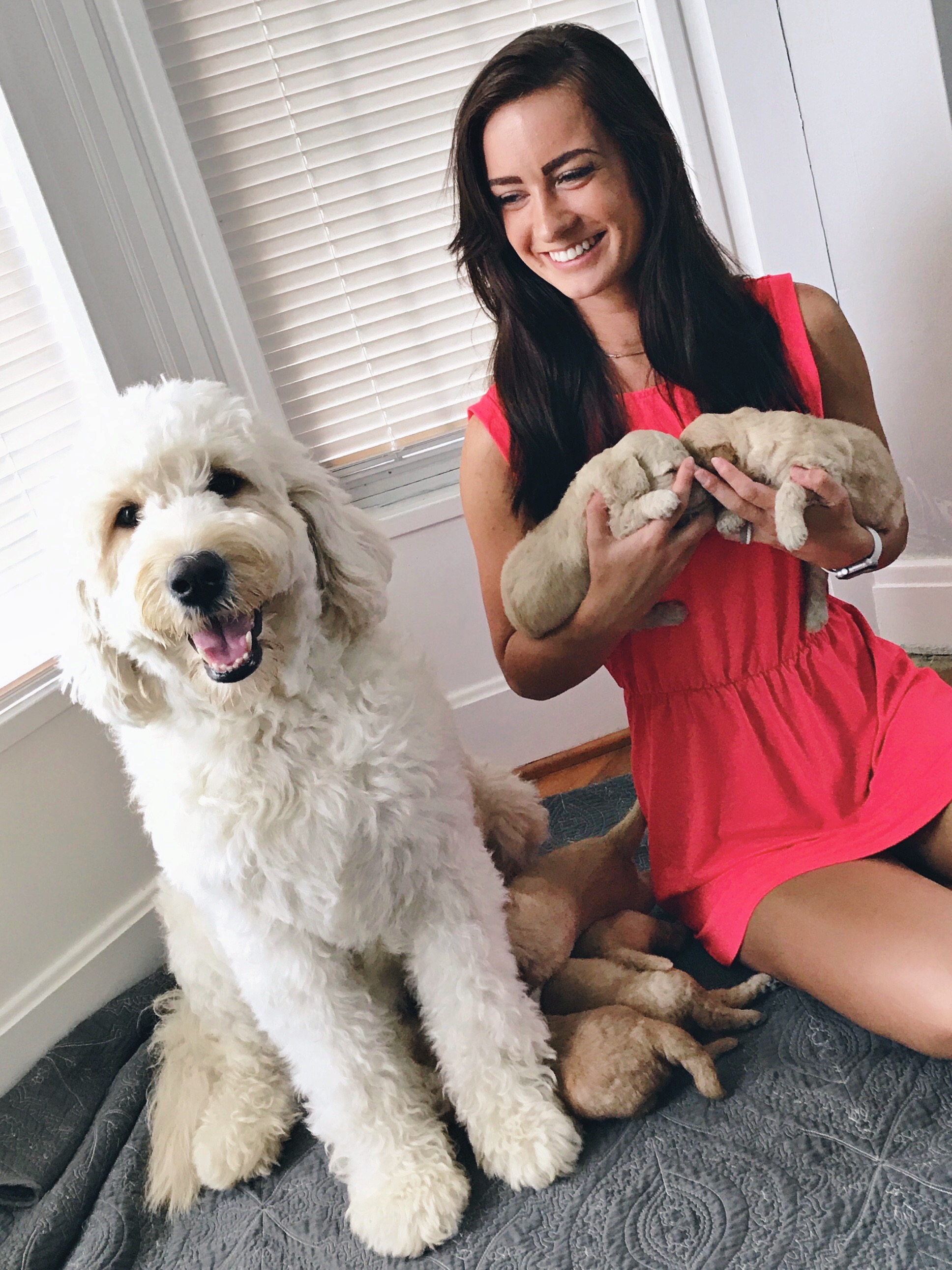 Zella&pups